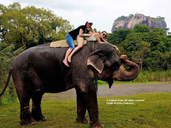 Sigiriya Lion's Rock